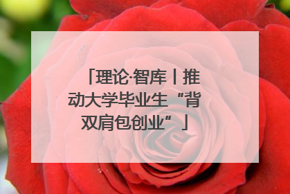 理论·智库丨推动大学毕业生“背双肩包创业”