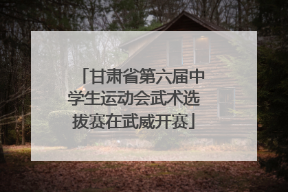 甘肃省第六届中学生运动会武术选拔赛在武威开赛