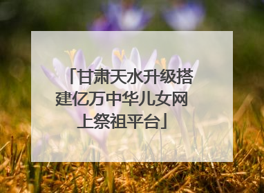 甘肃天水升级搭建亿万中华儿女网上祭祖平台