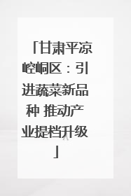 甘肃平凉崆峒区：引进蔬菜新品种 推动产业提档升级