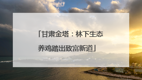 甘肃金塔：林下生态养鸡踏出致富新道