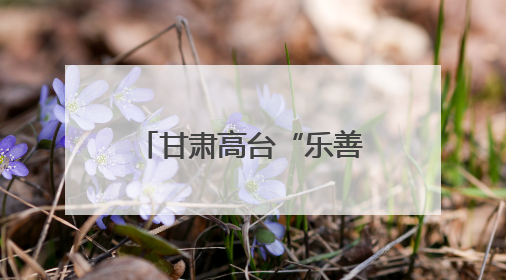 甘肃高台“乐善忠义班”缘何“有戏”至今？