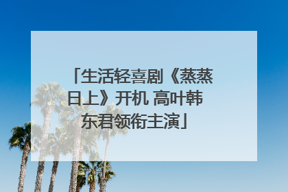 生活轻喜剧《蒸蒸日上》开机 高叶韩东君领衔主演