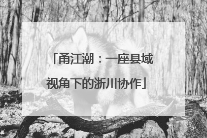 甬江潮：一座县域视角下的浙川协作