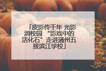 皮影传千年 光影润校园 “影戏中的活化石”走进通州五接滨江学校
