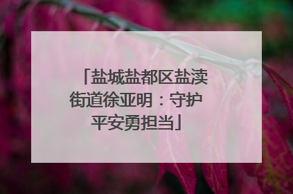 盐城盐都区盐渎街道徐亚明：守护平安勇担当
