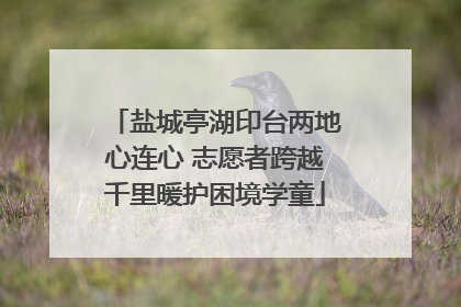 盐城亭湖印台两地心连心 志愿者跨越千里暖护困境学童