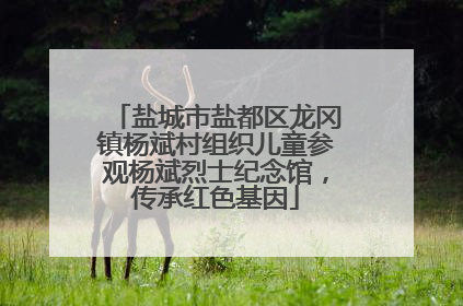 盐城市盐都区龙冈镇杨斌村组织儿童参观杨斌烈士纪念馆，传承红色基因