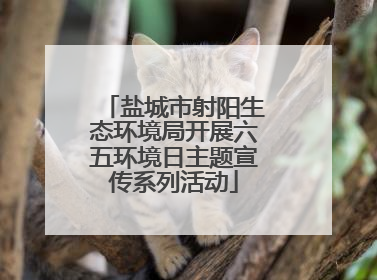 盐城市射阳生态环境局开展六五环境日主题宣传系列活动