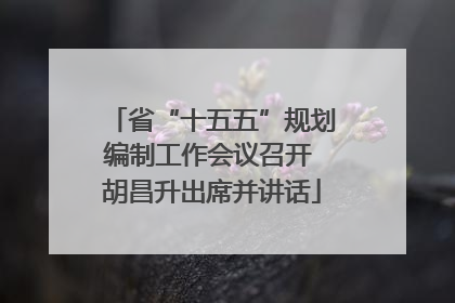 省“十五五”规划编制工作会议召开 胡昌升出席并讲话