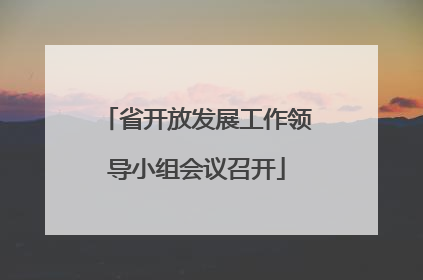 省开放发展工作领导小组会议召开