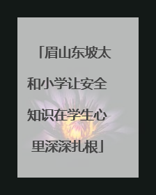 眉山东坡太和小学让安全知识在学生心里深深扎根