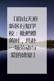 眉山天府新区行知学校：枇杷橙黄时，共赴一场劳动与爱的盛宴