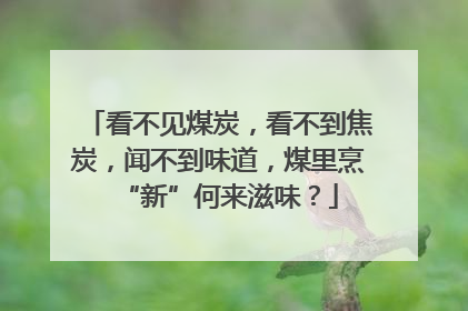 看不见煤炭，看不到焦炭，闻不到味道，煤里烹“新”何来滋味？