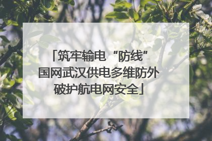 筑牢输电“防线” 国网武汉供电多维防外破护航电网安全