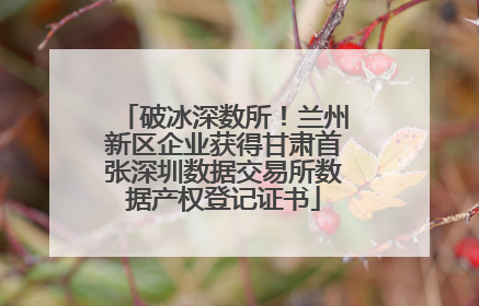 破冰深数所！兰州新区企业获得甘肃首张深圳数据交易所数据产权登记证书