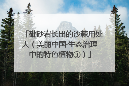 砒砂岩长出的沙棘用处大（美丽中国·生态治理中的特色植物③）