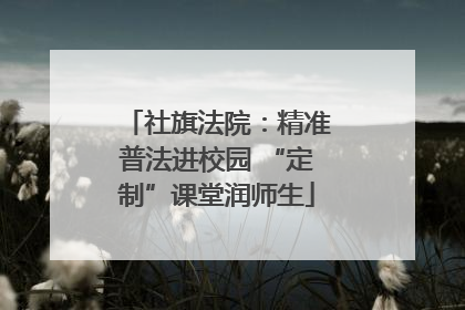 社旗法院：精准普法进校园 “定制”课堂润师生