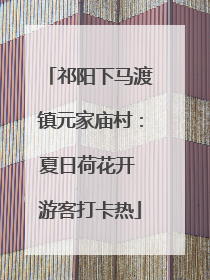 祁阳下马渡镇元家庙村：夏日荷花开 游客打卡热