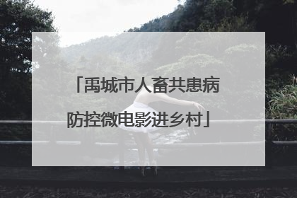 禹城市人畜共患病防控微电影进乡村