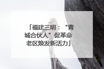 福建三明：“青城合伙人”促革命老区焕发新活力