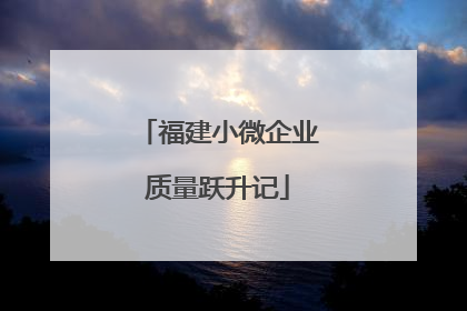 福建小微企业质量跃升记