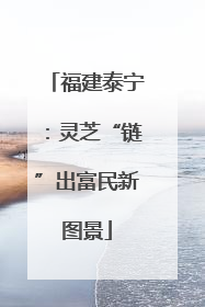 福建泰宁：灵芝“链”出富民新图景