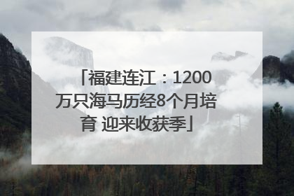 福建连江：1200万只海马历经8个月培育 迎来收获季