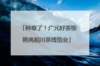 种草了！广元好茶惊艳亮相川茶博览会