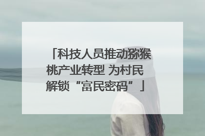 科技人员推动猕猴桃产业转型 为村民解锁“富民密码”