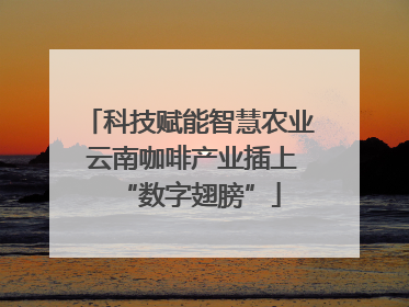 科技赋能智慧农业 云南咖啡产业插上“数字翅膀”