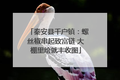 秦安县千户镇：螺丝椒串起致富链 大棚里绘就丰收图
