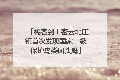 稀客到！密云北庄镇首次发现国家二级保护鸟类凤头鹰