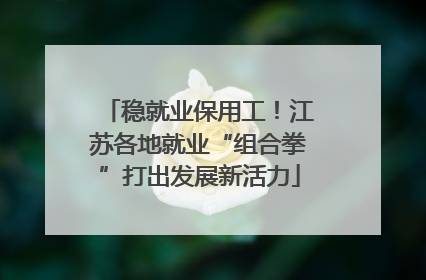 稳就业保用工！江苏各地就业“组合拳”打出发展新活力