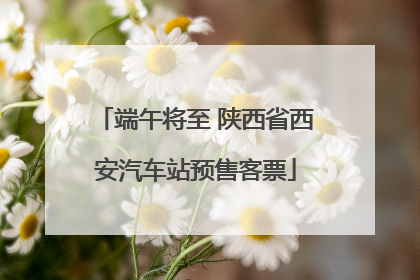 端午将至 陕西省西安汽车站预售客票
