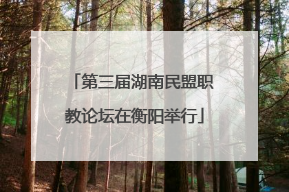 第三届湖南民盟职教论坛在衡阳举行