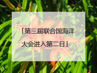 第三届联合国海洋大会进入第二日