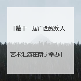 第十一届广西残疾人艺术汇演在南宁举办