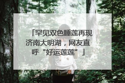 罕见双色睡莲再现济南大明湖，网友直呼“好运莲莲”