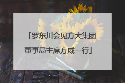 罗东川会见方大集团董事局主席方威一行