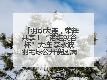 羽动大连，荣耀共享！“诺维溪谷杯”大连·李永波羽毛球公开赛圆满落幕！