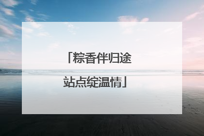 粽香伴归途 站点绽温情