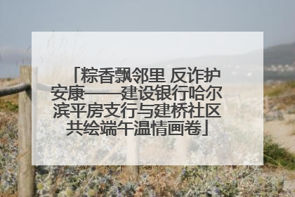 粽香飘邻里 反诈护安康——建设银行哈尔滨平房支行与建桥社区共绘端午温情画卷