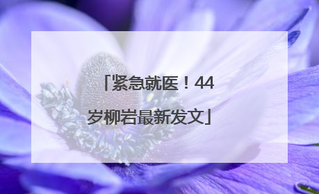 紧急就医！44岁柳岩最新发文
