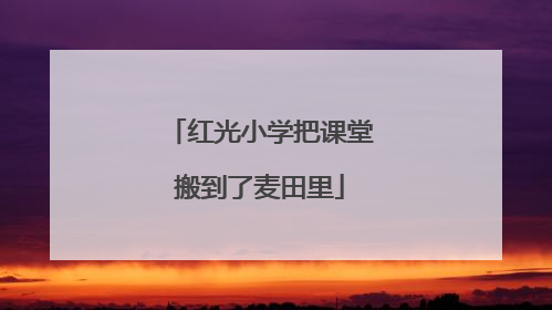 红光小学把课堂搬到了麦田里