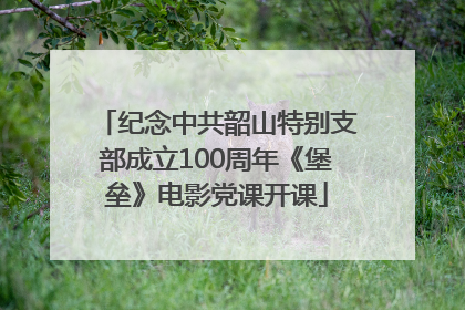 纪念中共韶山特别支部成立100周年《堡垒》电影党课开课