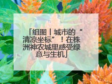 组图丨城市的“清凉坐标”！在株洲神农城里感受绿意与生机