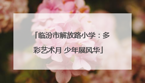 临汾市解放路小学：多彩艺术月 少年展风华