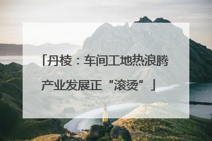 丹棱：车间工地热浪腾产业发展正“滚烫”
