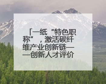 一纸“特色职称”，激活碳纤维产业创新链——创新人才评价机制 助推产业升级